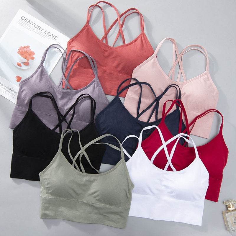 LC20 XO Sports Bra - Navy